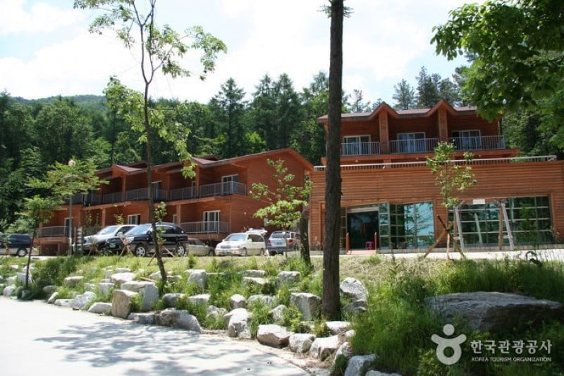Yumyeongsan Mountain Natural Recreation Forest  (12/12)