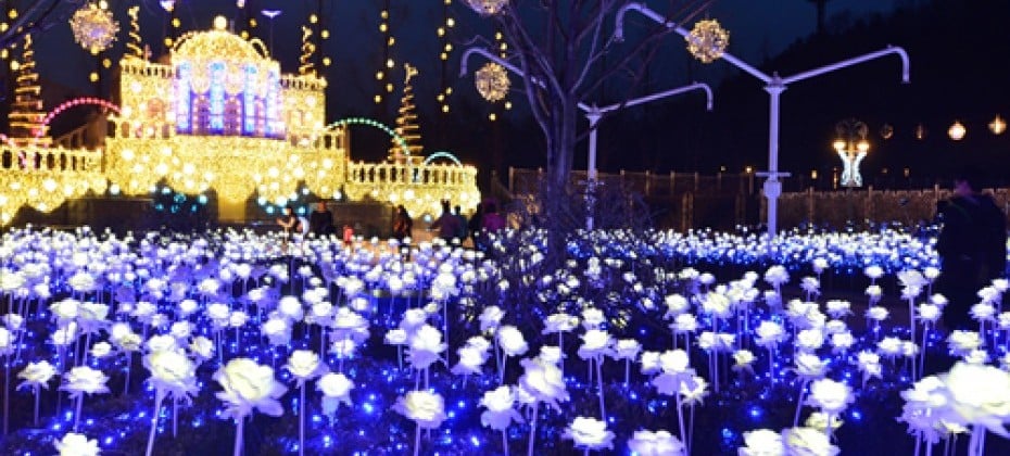 Everland Daily Pass Discount Ticket (1/51)