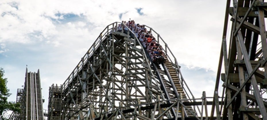 Everland Daily Pass Discount Ticket (2/51)