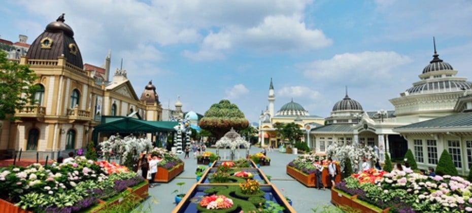 Everland Daily Pass Discount Ticket (3/51)