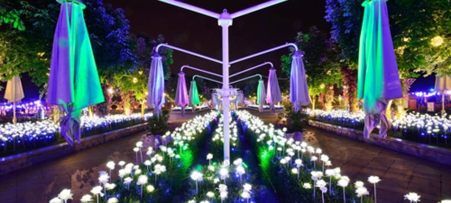 Everland Daily Pass Discount Ticket (6/51)