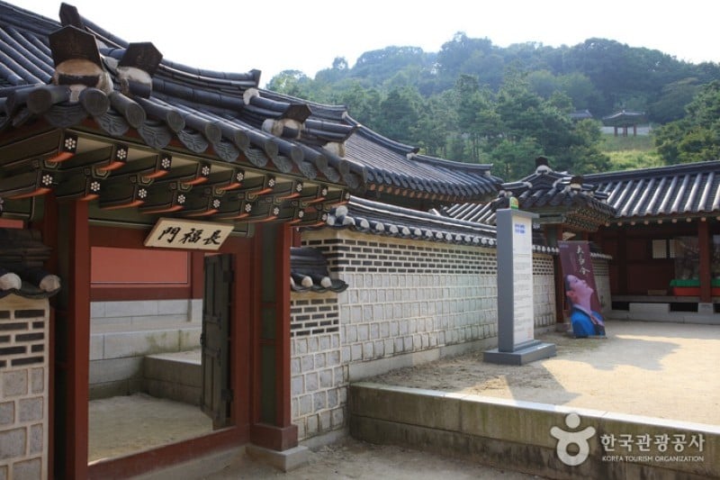Hwaseong Haenggung Palace  (11/24)