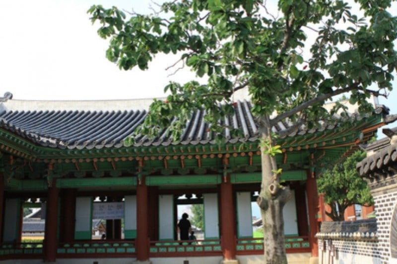 Hwaseong Haenggung Palace  (16/24)