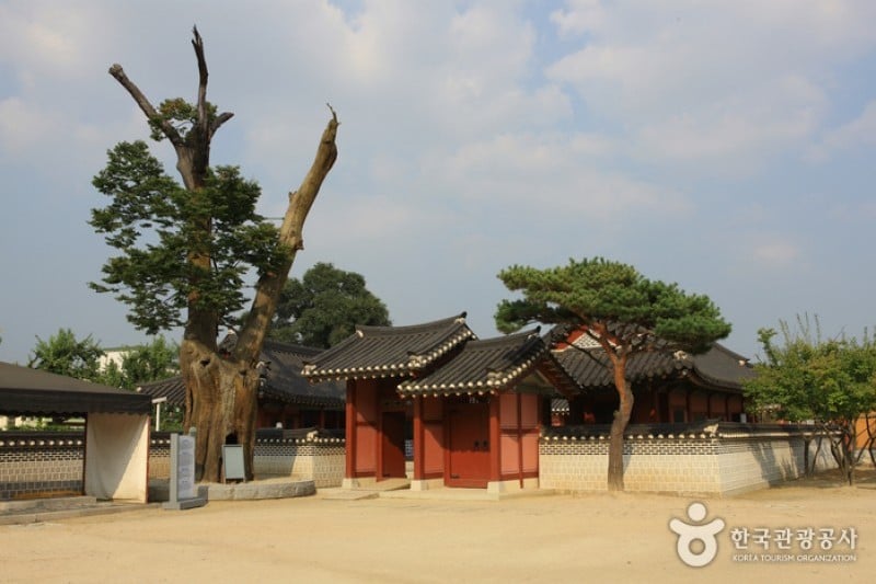 Hwaseong Haenggung Palace  (21/24)