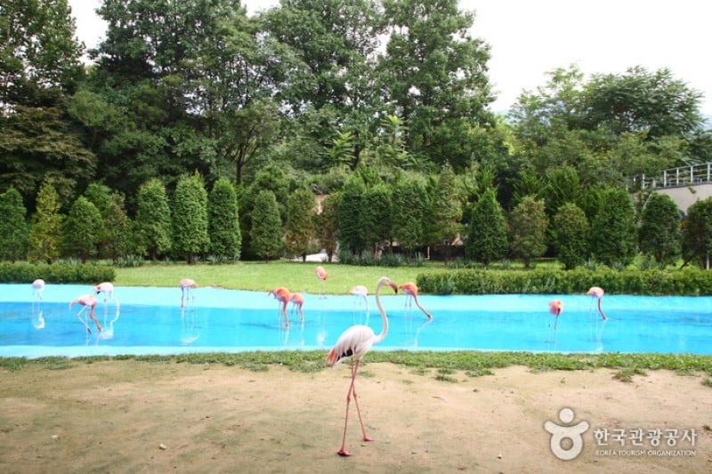 Seoul Grand Park  (13/58)
