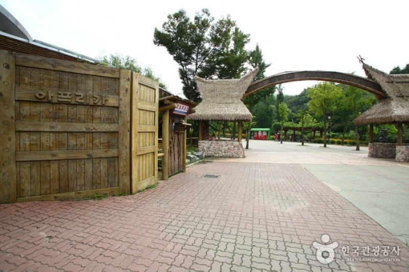 Seoul Grand Park  (14/58)
