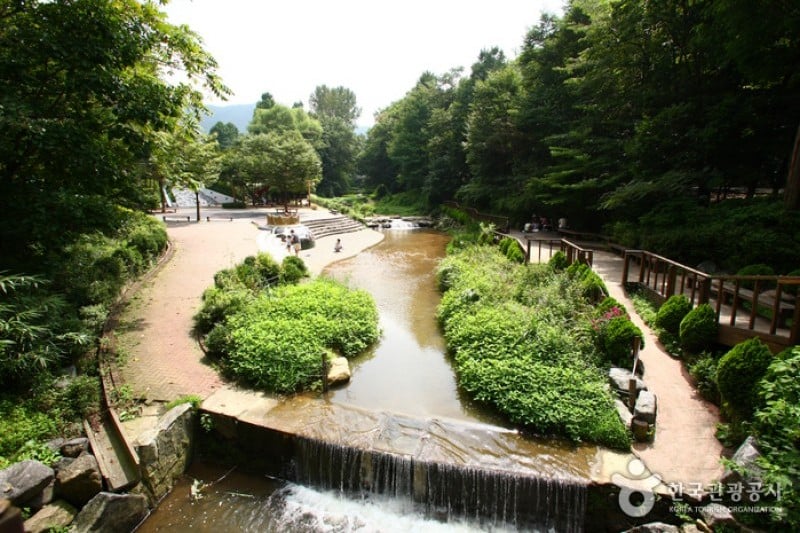 Seoul Grand Park  (15/58)