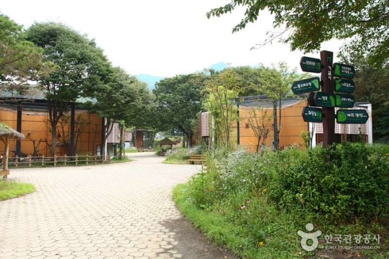 Seoul Grand Park  (16/58)