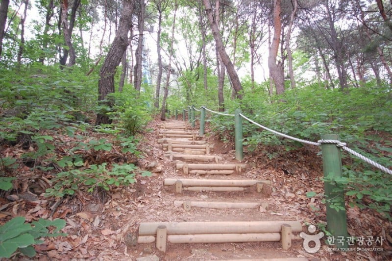 Seoul Grand Park  (21/58)