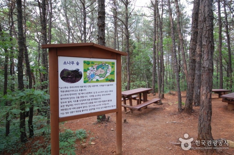 Seoul Grand Park  (22/58)