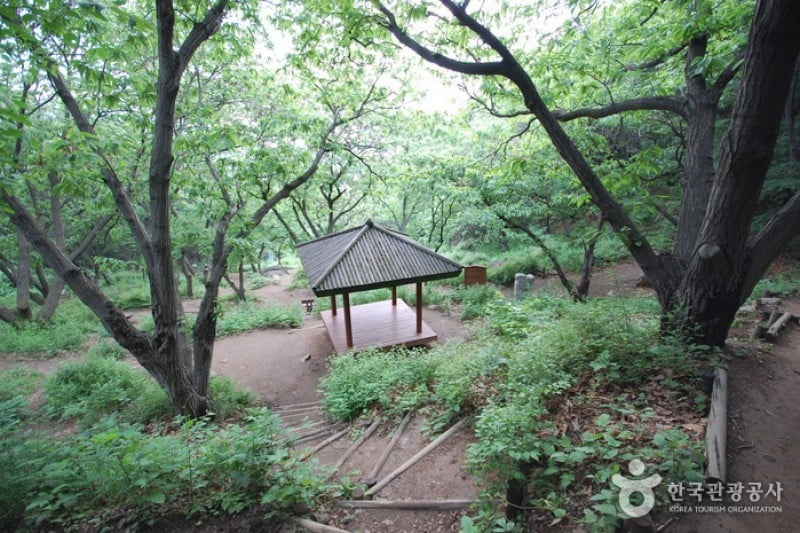 Seoul Grand Park  (24/58)