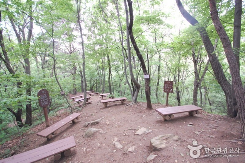 Seoul Grand Park  (25/58)