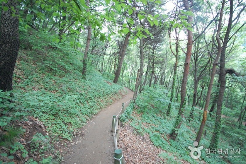 Seoul Grand Park  (26/58)