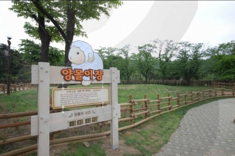 Seoul Grand Park  (27/58)