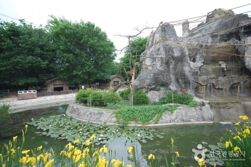 Seoul Grand Park  (29/58)