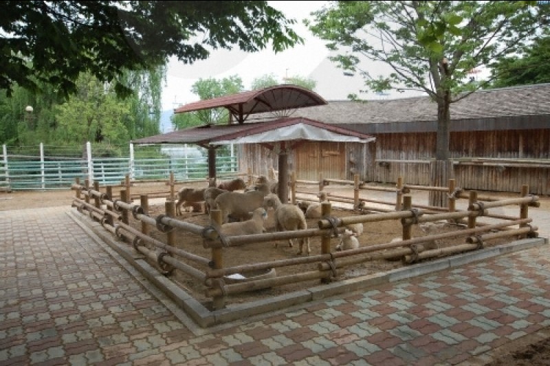 Seoul Grand Park  (31/58)