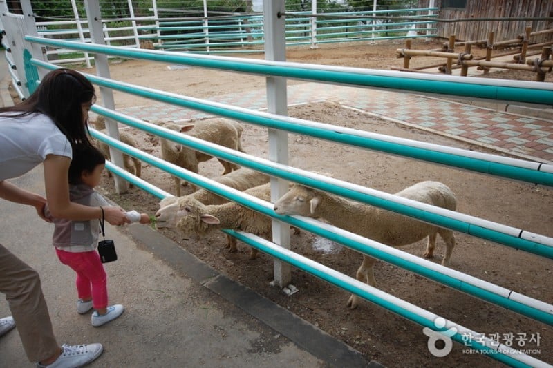 Seoul Grand Park  (32/58)