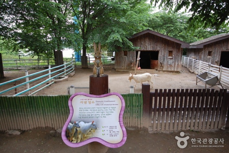 Seoul Grand Park  (33/58)