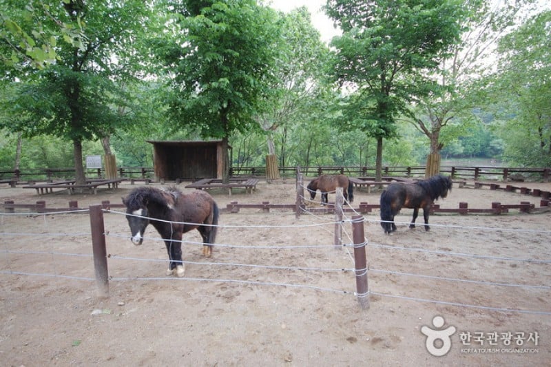 Seoul Grand Park  (38/58)