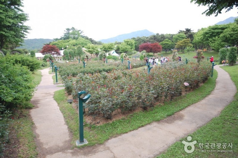 Seoul Grand Park  (45/58)