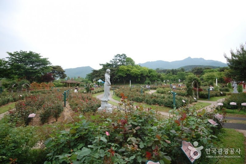 Seoul Grand Park  (48/58)