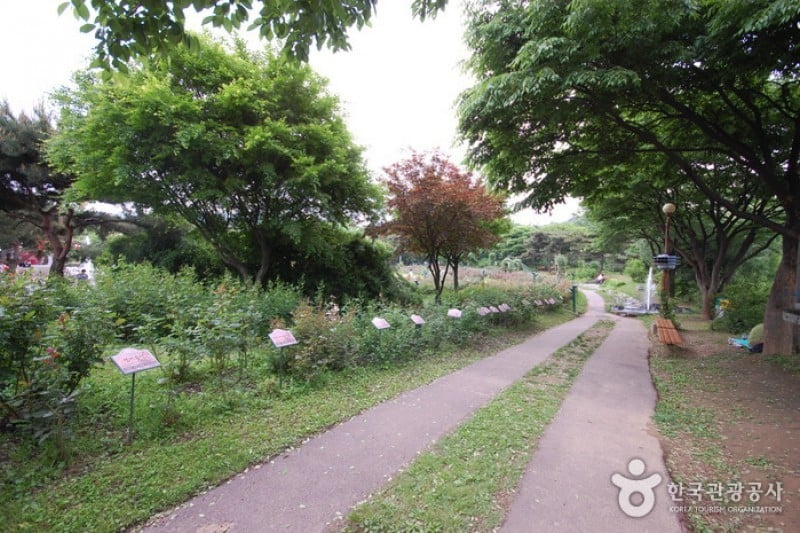 Seoul Grand Park  (49/58)