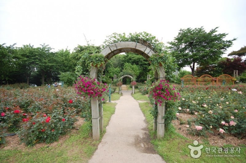 Seoul Grand Park  (50/58)
