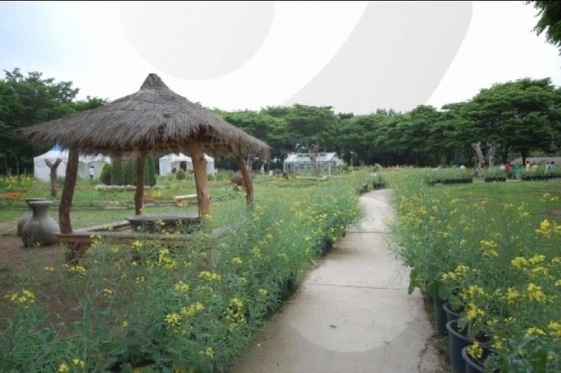 Seoul Grand Park  (53/58)