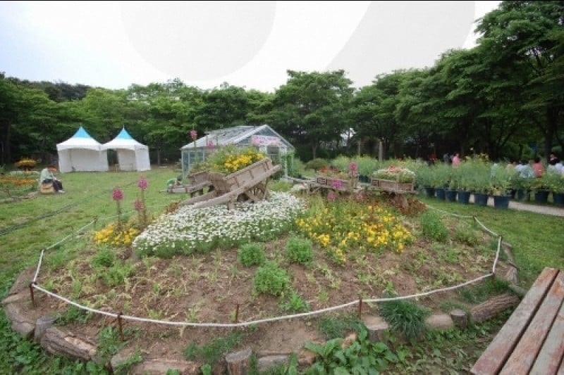 Seoul Grand Park  (55/58)