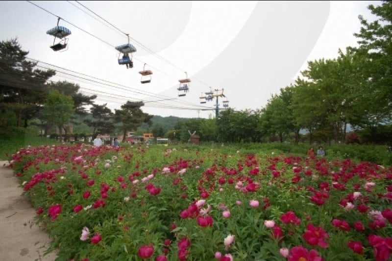 Seoul Grand Park  (57/58)