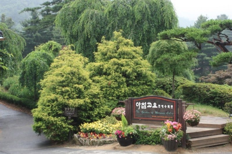 The Garden of Morning Calm  (1/54)