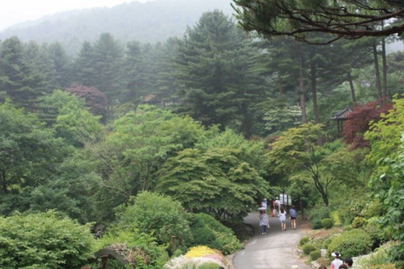 The Garden of Morning Calm  (2/54)