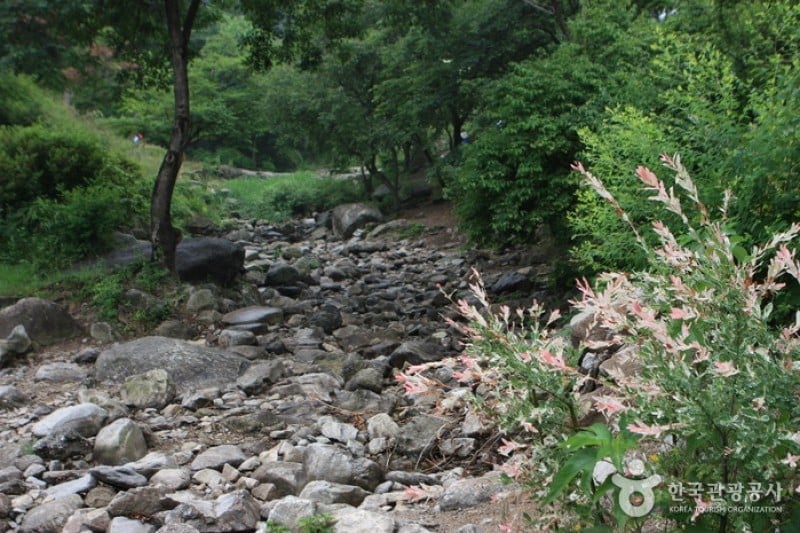 The Garden of Morning Calm  (3/54)