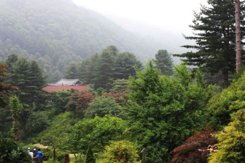 The Garden of Morning Calm  (7/54)