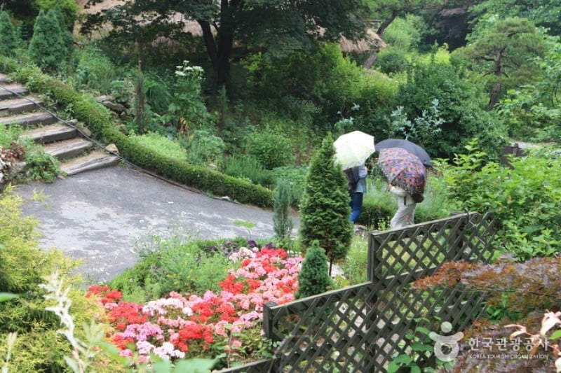 The Garden of Morning Calm  (8/54)