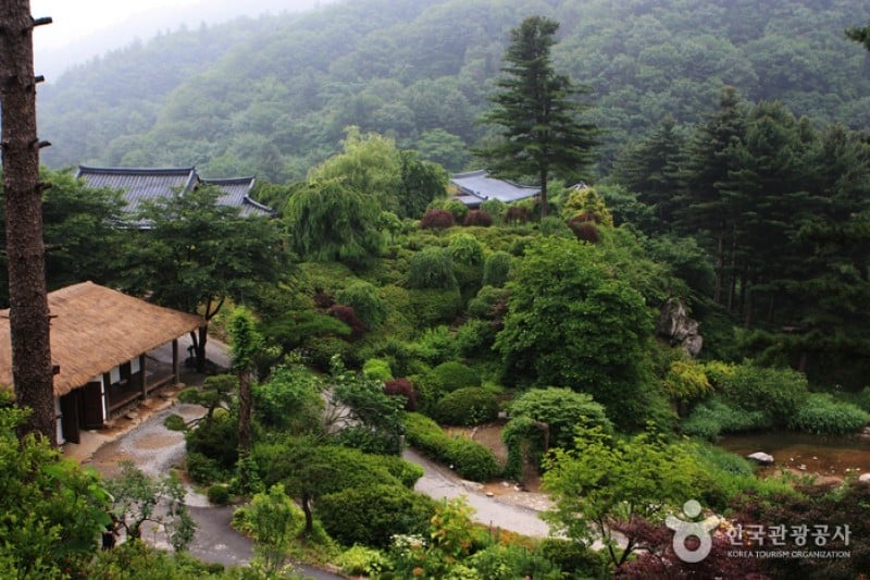 The Garden of Morning Calm  (9/54)