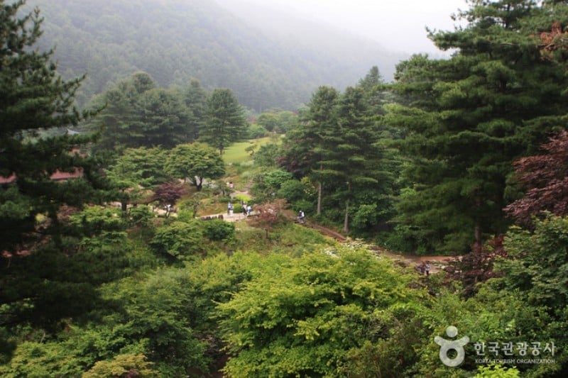 The Garden of Morning Calm  (10/54)