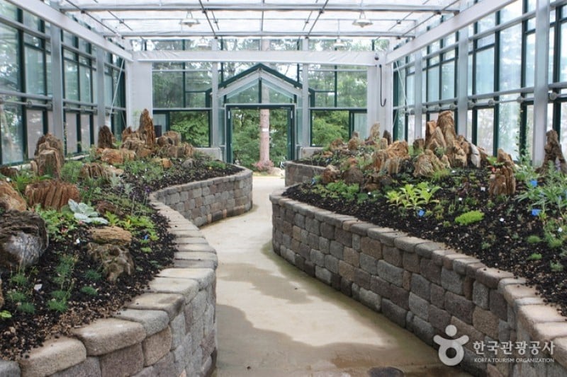 The Garden of Morning Calm  (11/54)