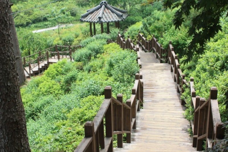 The Garden of Morning Calm  (12/54)