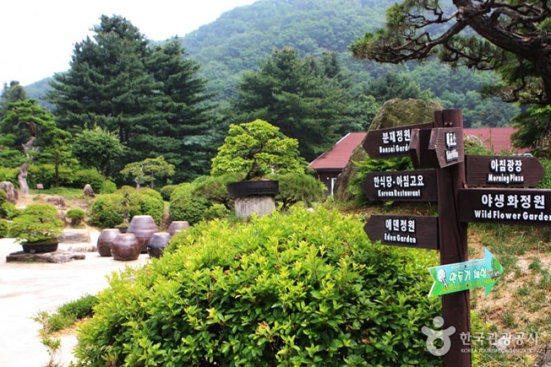 The Garden of Morning Calm  (13/54)