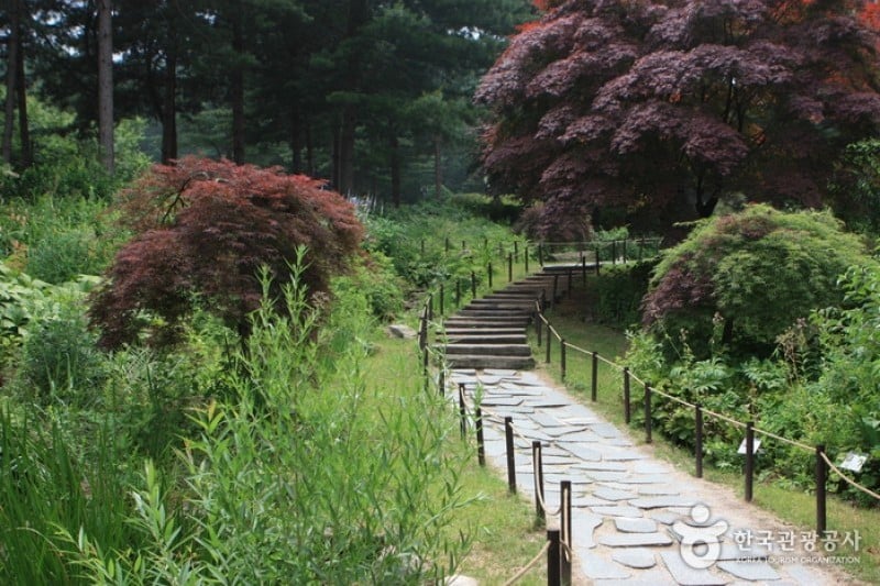 The Garden of Morning Calm  (16/54)