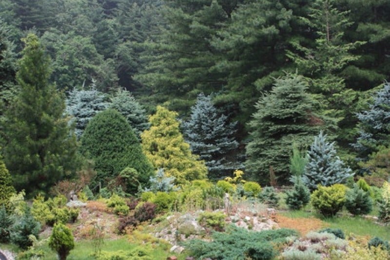 The Garden of Morning Calm  (17/54)