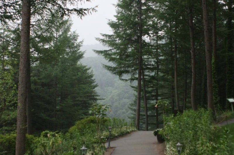 The Garden of Morning Calm  (18/54)
