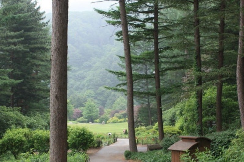 The Garden of Morning Calm  (19/54)