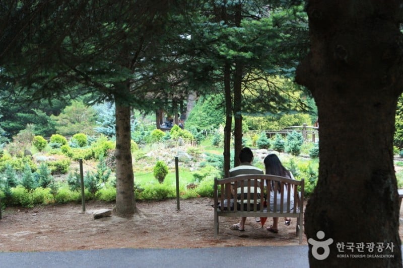 The Garden of Morning Calm  (20/54)