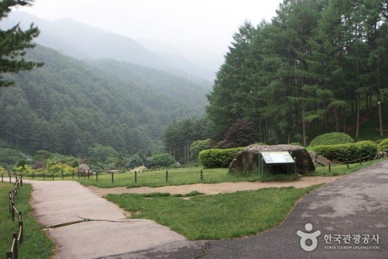 The Garden of Morning Calm  (21/54)