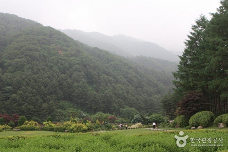 The Garden of Morning Calm  (22/54)