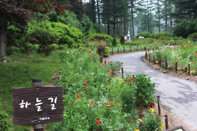 The Garden of Morning Calm  (24/54)
