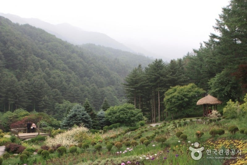 The Garden of Morning Calm  (25/54)