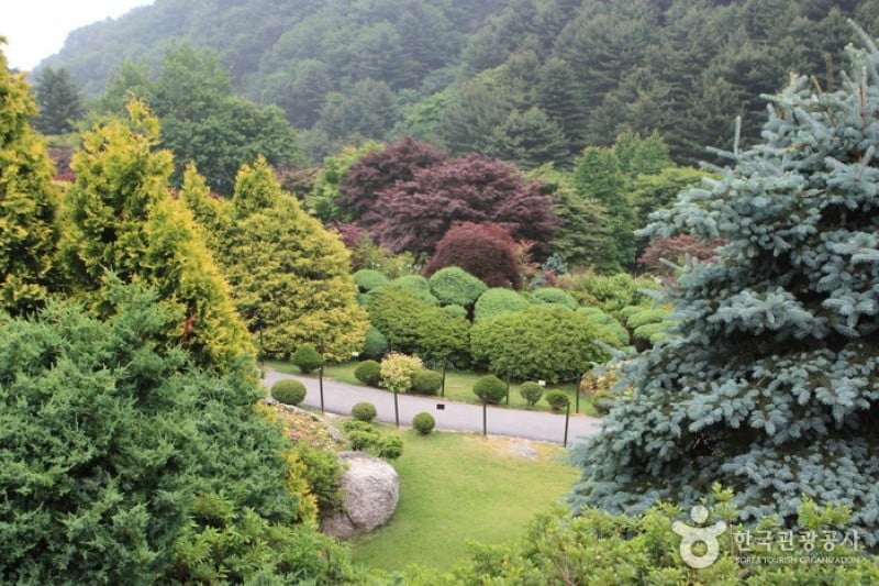 The Garden of Morning Calm  (26/54)